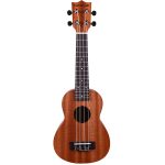 Wanderer 21 inch ukulele front view